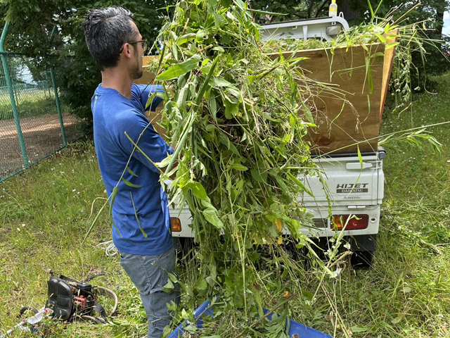 堺市のお庭の除草・草刈り