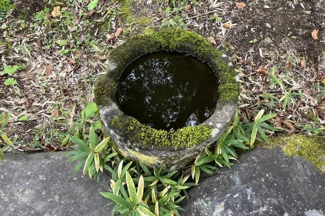 堺市での井戸じまい工事