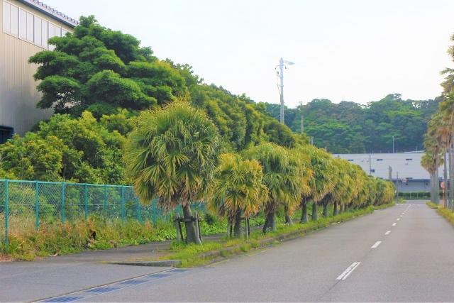 堺市の工場の植栽・緑地管理