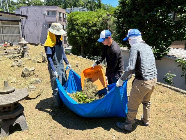 堺市の草刈り除草