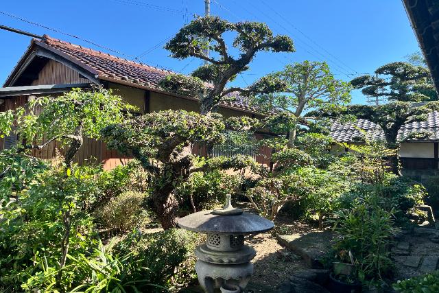 堺市のマンション 植栽剪定